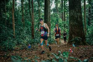 BIB: 
                            <button type="button" onclick="openModal(26132932)" class="btn btn-primary btn-sm float-right btn-popup" data-toggle="modal" data-target=".modal-high-quality">
                        <i class="fas fa-shopping-cart"></i> Add to Cart
                    </button>
                                            <button type="button" onclick="isThisMe(26132932, true)" class="btn btn-success btn-sm float-right btn-popup btn-isme hidden" data-toggle="tooltip" data-placement="bottom" title="นี่คือรูปของคุณใช่ไหม คลิกที่นี่เพื่อเอาเข้าอัลบั้ม">
                        <i class="fas fa-plus"></i> Add to album
                    </button>
                    <button type="button" onclick="isThisMe(26132932, false)" class="btn btn-warning btn-sm float-right btn-popup btn-isnotme hidden">
                        <i class="fas fa-ban"></i> Remove from album
                    </button>